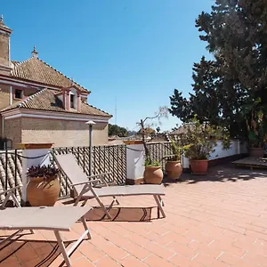 Penthouse Private Terrace, Near Cathedral, And To Real Maestranza Apartment Seville